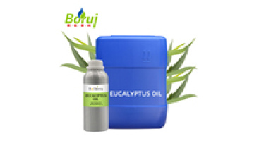 Borui Manufactures: Bulk Supply Natural Eucalyptus Essential Oil at Best Prices1