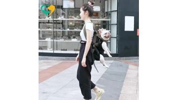 pet carrier foldable
