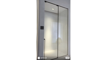 VH-S121 Bypass Door