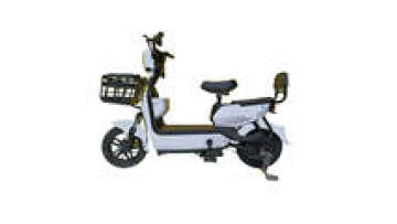 China professional Anti theft alarm system step through enclosed electric bike1