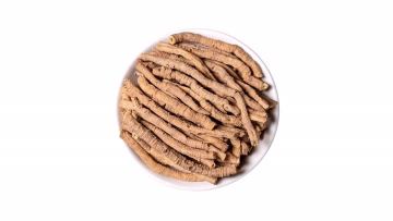 Polygala Root