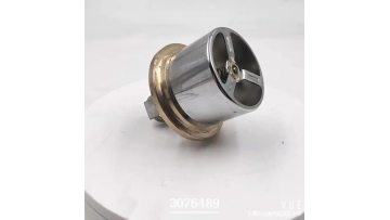 Thermostat 3076489