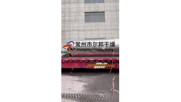 xsg (29)