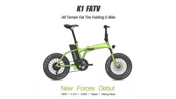 19 inch fat tire ebike