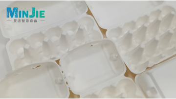 molded fiber egg box