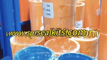 Repair kit for excavator hydraulic cylinder