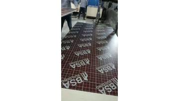 film faced plywood (2)