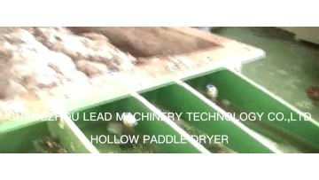 HOLLOW PADDLE DRYER