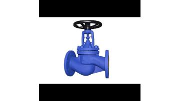 BELLOWS GLOBE VALVE