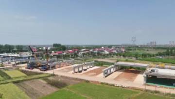 Self-Propelled Modular Transporter