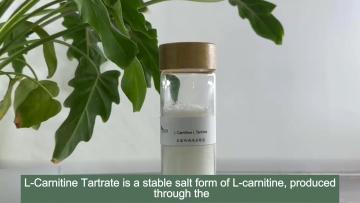 L Carnitine L Tartrate