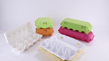 OEM Biodegradable 20 Cell Egg Packaging Tray for Sale Carton White GPM Custom Printing Accept Accept Customized Logo 95g 5000pcs1