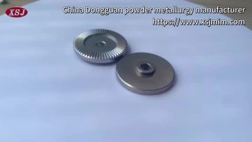 stainless steel teeth
