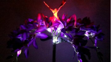 LED Solar Spider Orchid Flower Butterfly Spike Light For Garden Lawn Landscape Villa Gate Pathway Security1