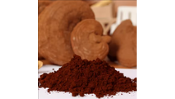 Reishi Mushroom Extract USDA Organic Wild Reishi Mushroom Powder Extract Lucid Ganoderma Extract1