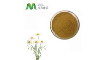 ISO Certified Manufacturer High Quality Bulk Organic Chamomile Extract1
