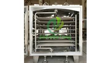 derFox_Photo_Video_004