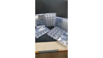 Plastic 10 grids egg tray