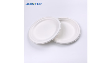 Disposable Degradable Cartoon Food Tray