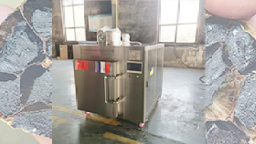 HY-30 Blak Garlic Machine to France