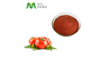 Chinese Supplier Lycopene 5% Organic Tomato Extract1