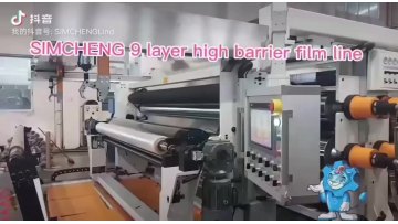 India Double Station Cast pp Film Extrusion Line1
