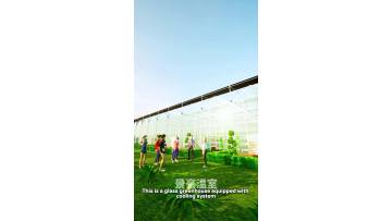Arched Glass Greenhouse