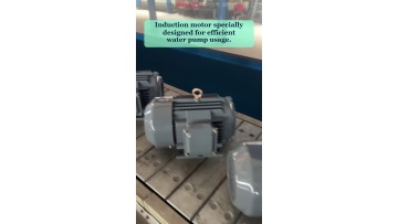 Video 33
