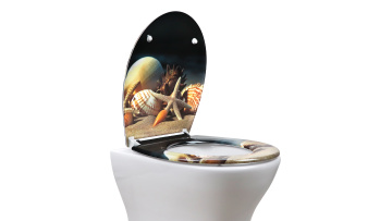 Fanmitrk Toilet Seat UF01-18