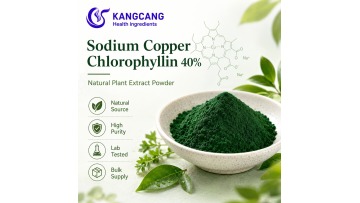 Natural Green Colorant Sodium Copper Chlorophyllin 99% Powder