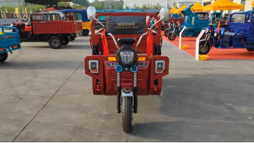 Zhanlong 160 electric tricycle