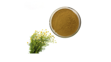 Super Quality Halal Certified Chamomile Flower Extract Powder1