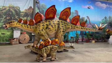 Stegosaurus Set