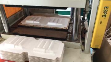Factory Customized Paper Pulp Tray Moulded Packaging1