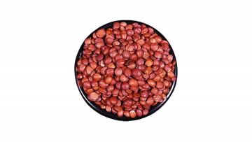 Spine Date Seed
