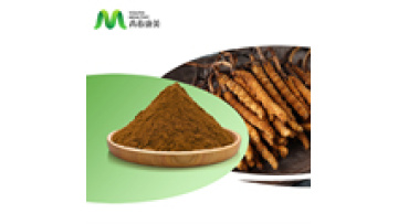 Best Price Cordyceps Sinensis Extract Powder Cordycepin 98% Powder1