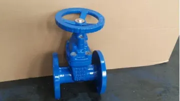 Soft Seal Gate Valve Industrial Drain Valve1