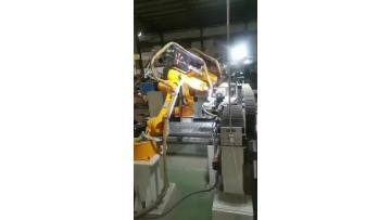 Food grade Stainless steel conveyor belt