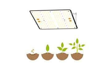 300w led grow light