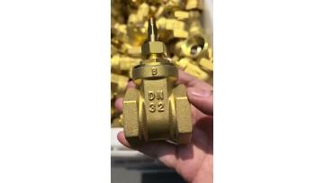 Product Showcase 1