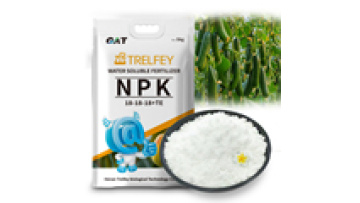 NPK 17-17-17 and 18-18-18 Compound Fertilizer for Corn - High Purity Bags1