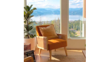 Wholesale new trends modern simple minimalist velvet comfort fabric leisure wooden  lounge reclining  living room chair1
