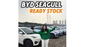 BYD Seagull 2026 Vitality Edition