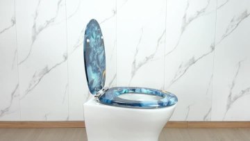 Fanmitrk Toilet Seat MDFDJ2508