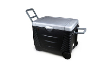 EverCool 45L Car Refrigerator: Portable Thermoelectric Vehicle Fridge1