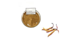 Xi`an Youth Wholesale EU Organic Cordyceps Extract Powder with Halal1