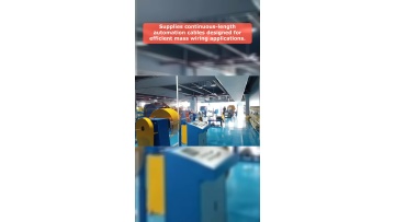 Video 34