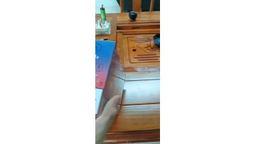 fluum bar 6000 600 puffs