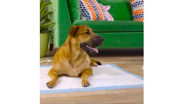 AIXNrOrpfsW2d8fuAUT_229334966695_hd_hq