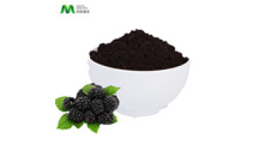 Manufacturer Supply Freeze-dried Organic Mulberry Powder1